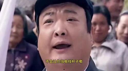 搞笑电视剧免费观看全集,免费畅享搞笑电视剧全集盛宴
