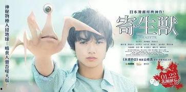 日本AA片久久小电影,AA片背后的故事与影响
