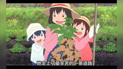 动漫电影推荐小众